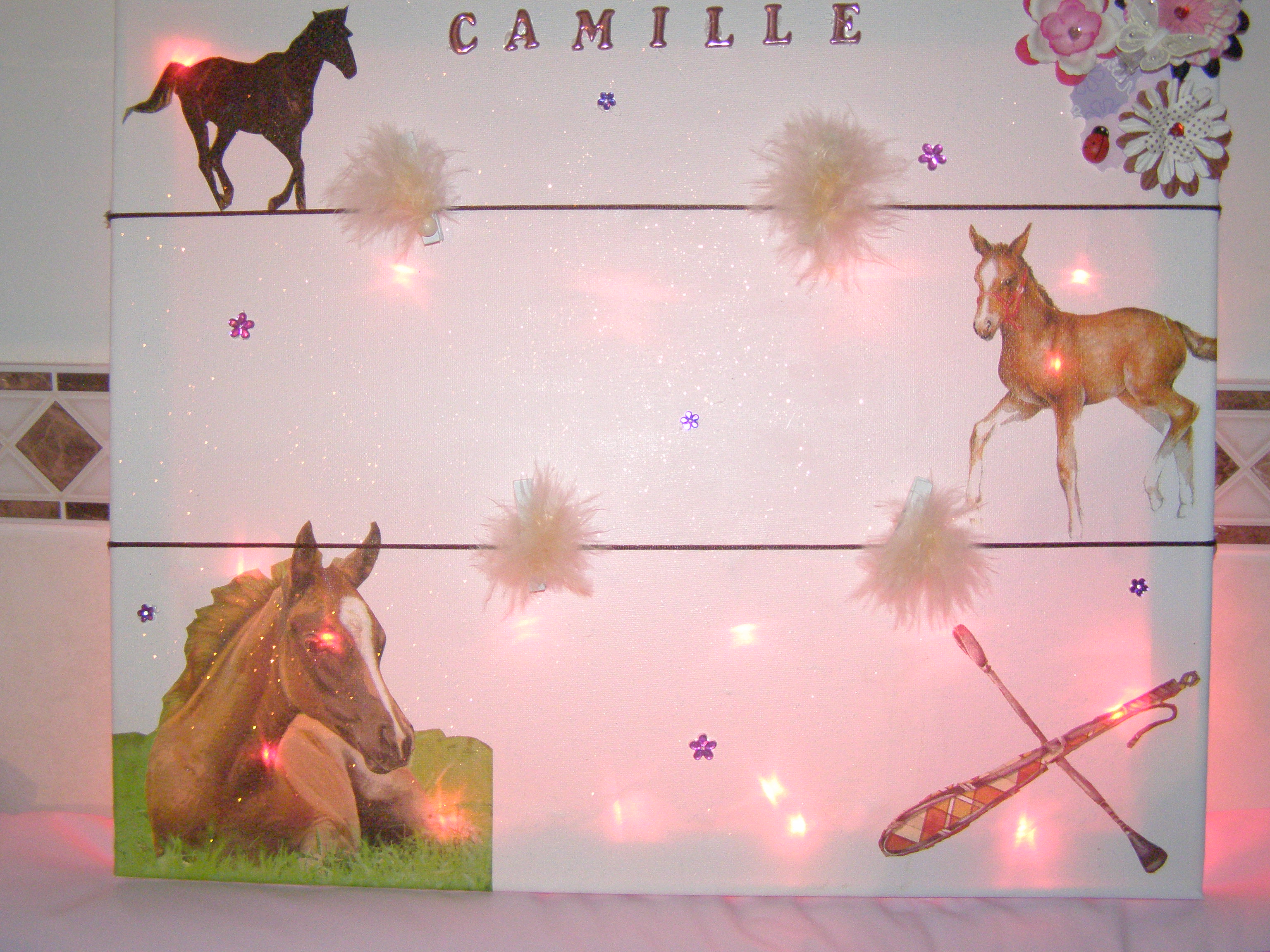 Pêle mèle Lumineux Cheval